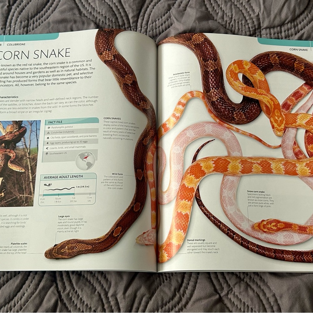 Smithsonian Snake Essential Guide Book - Picture 2 of 5